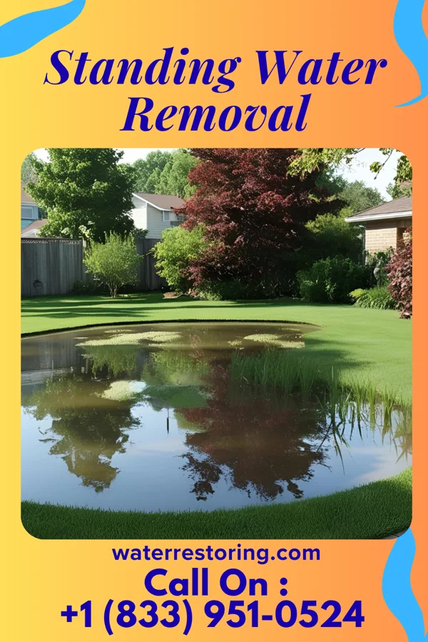 Standing Water Removal in Dorneyville, PA